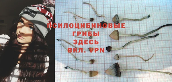 мяу мяу кристалл Алексин