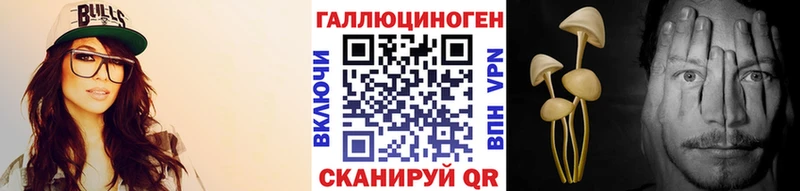Купить где  Макаров  Галлюциногенные грибы прущие грибы 