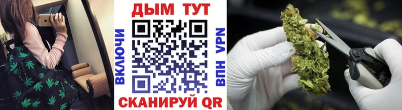 Бошки Шишки Bruce Banner  Купить где  Макаров 